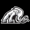 Mammoth Energy Services