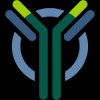 Y-mAbs Therapeutics