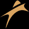 Amneal Pharmaceuticals