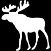 Abercrombie & Fitch