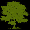 Community Health Systems