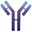 Immunovant Inc