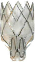 Pulmonx Corp