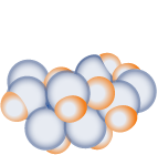 PolyPid